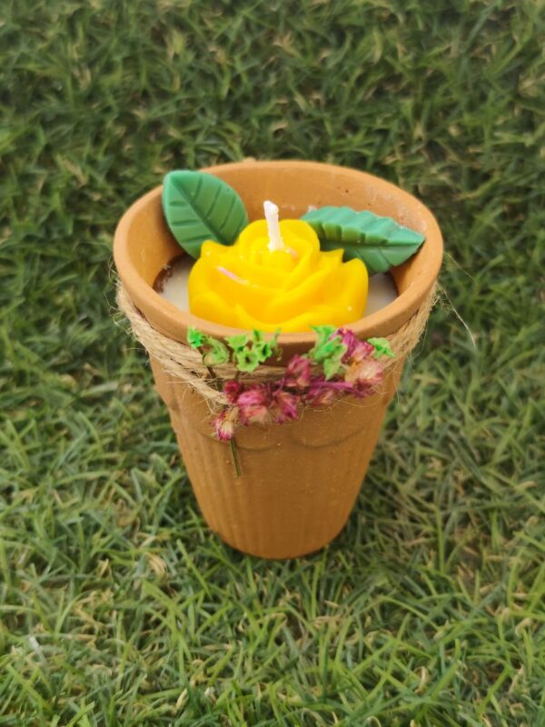 EcoGlow Gift Box - Image 3